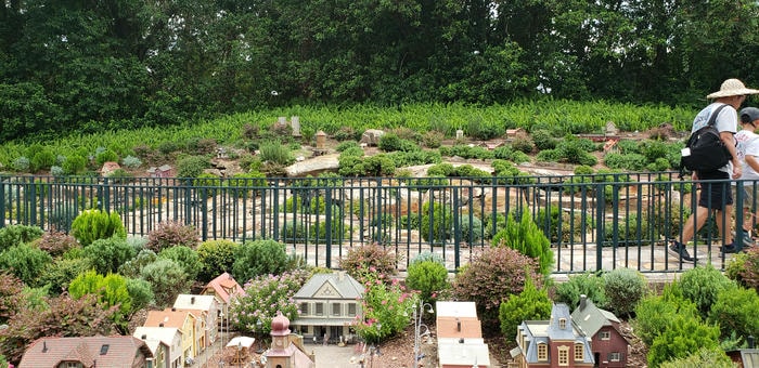 phone pics from florida